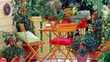 Balkon bahçeciliğinin püf noktaları