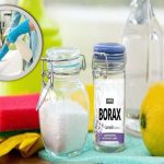 Borax Zehirli Mi? Boraxın Zararları Nelerdir? hakkında detaylı bir yazı