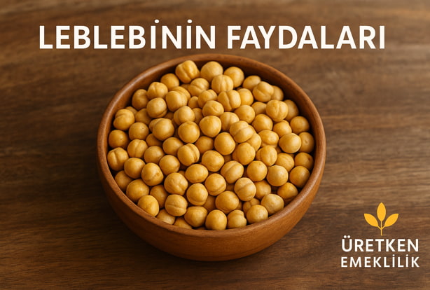 Leblebinin Faydaları Nelerdir? Leblebinin Bilinmeyen Yönleri.